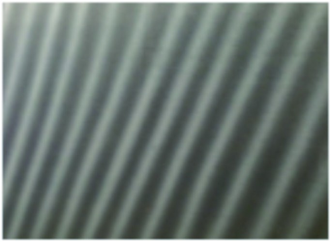 Nucleus,  1981년, 116×91㎝, Oil on canvas