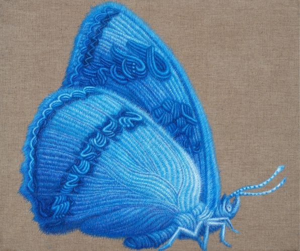 Butterfly, 2008, Oil on canva,s 60.6x72.7 cm