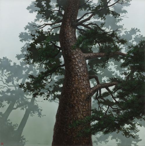 어느 이방인의 노래중에서 숲을 지키는 나무 A, 2015, Acrylic on canvas, 121.92×121.92 cm