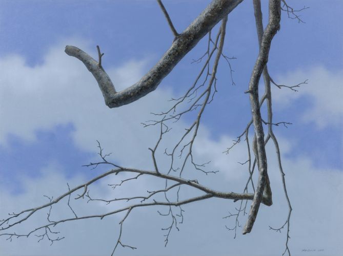 어느 이방인의 노래중에서 겨울나무 B,  2012,  Acrylic on canvas,  91.44×121.92 cm