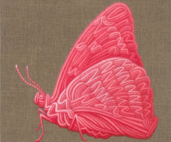 Butterfly,  2015,   Oil on canvas,  60.6x72.7 cm
