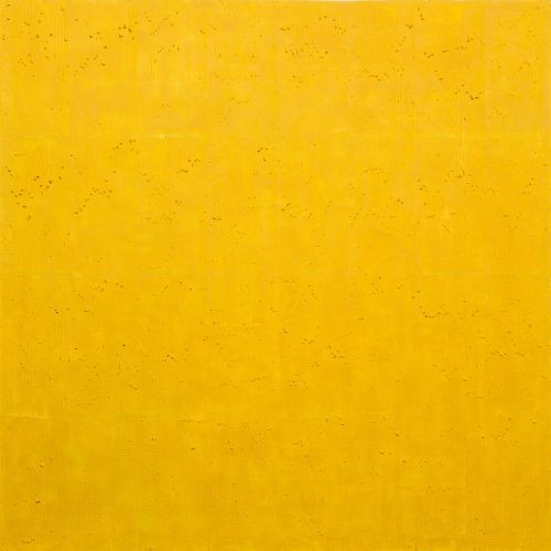 Halo15-0919,  2015,   Acrylic on canvas,  145×145㎝